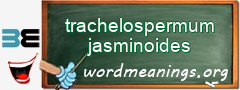 WordMeaning blackboard for trachelospermum jasminoides